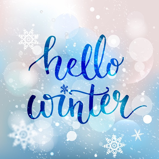 Hello Winter Security Mini Storage